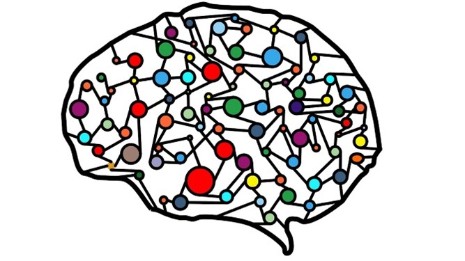Focal Point - Iconised Brain Image